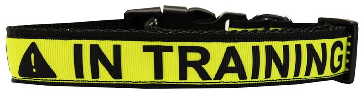 In Training Caution Tape Nylon Dog Collar Medium